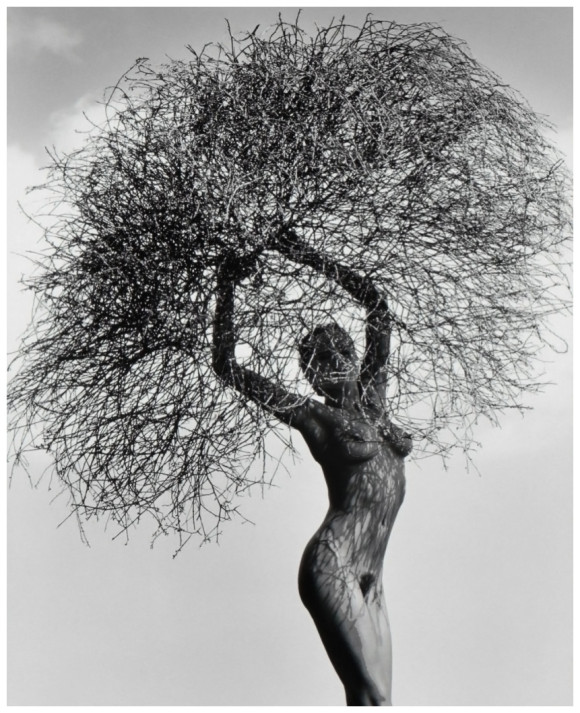 photo-herb-ritts-neith-with-tumbleweed-paradise-cove-1986